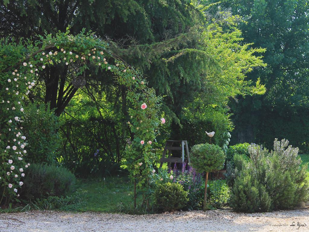 Casa vacanze La Vigna *